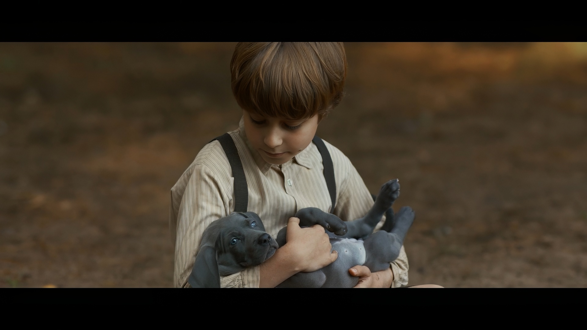 Сын Харатьяна снял фильм о&nbsp;собаке