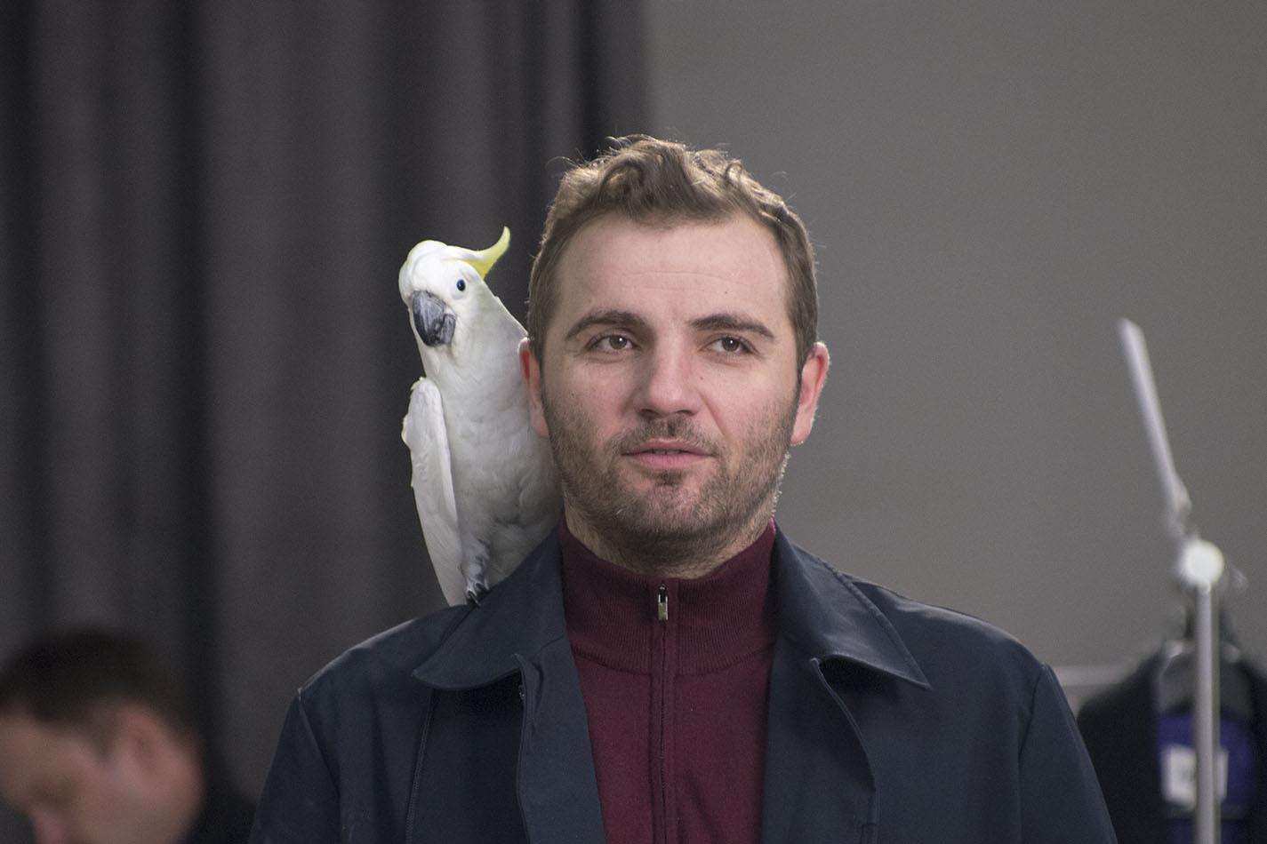 Максим Стоянов с&nbsp;напарником-попугаем ищут сокровища 