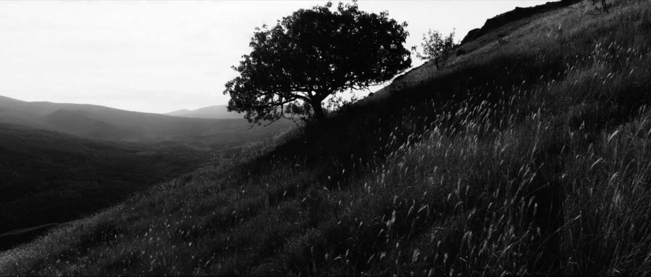 Okko покажет доки о&nbsp;новомучениках