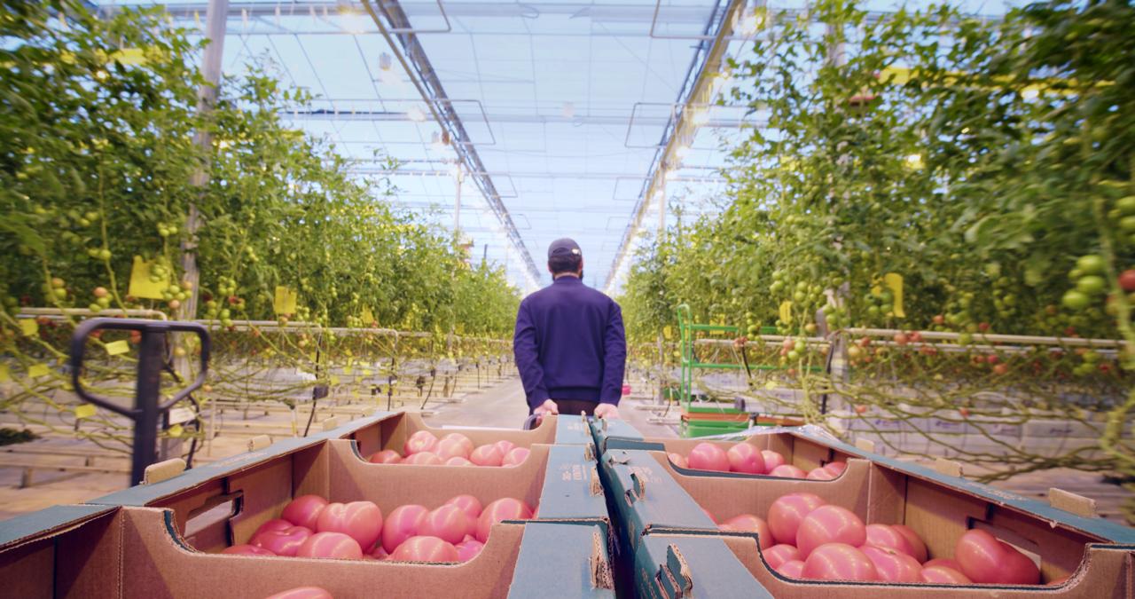 «Чистая красная линия»