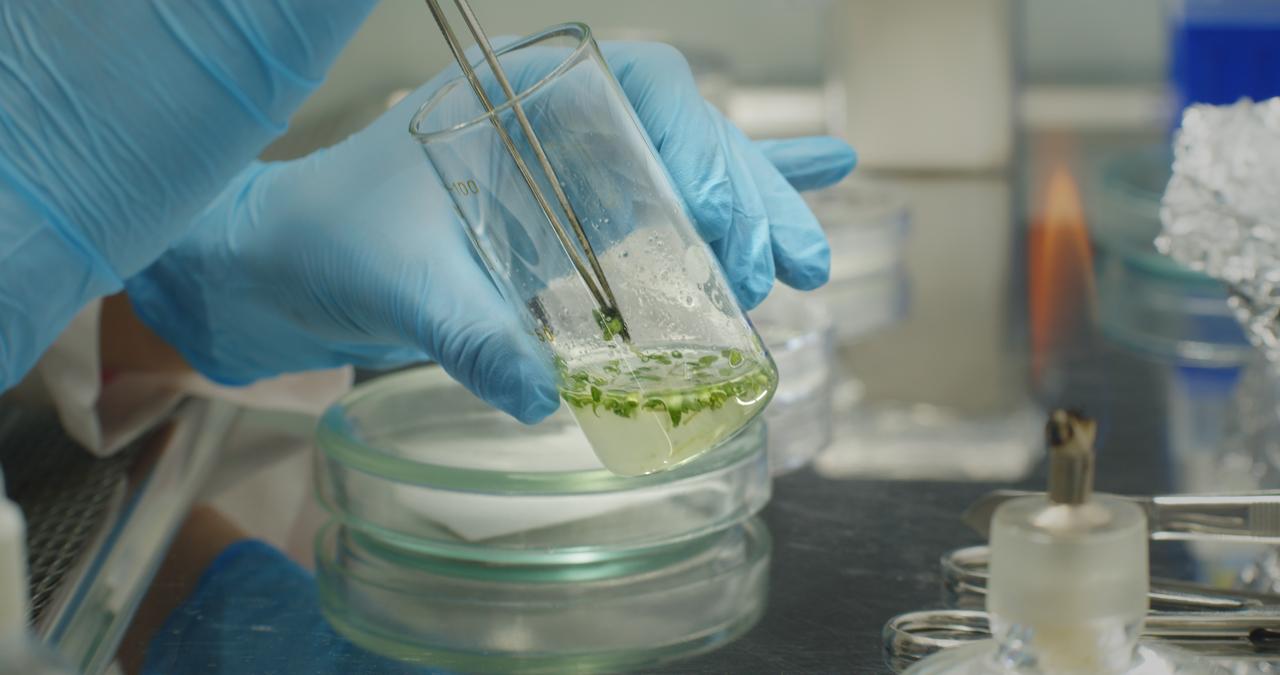 ФАНК расскажет про&nbsp;скифов, Байконур и&nbsp;новый вид людей