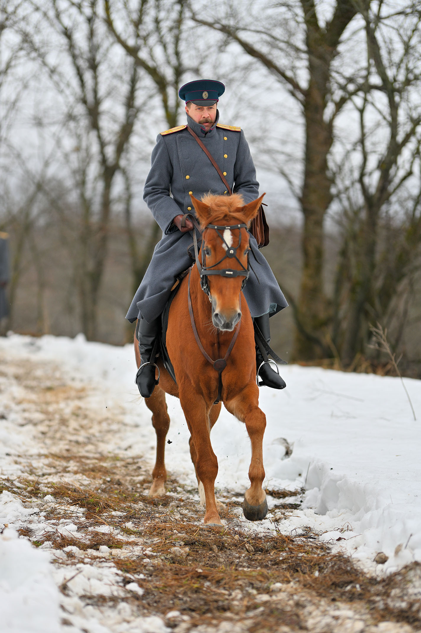 Евгений Миронов