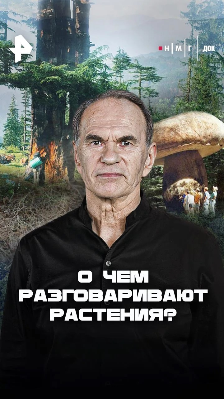 «О чем разговаривают растения?»