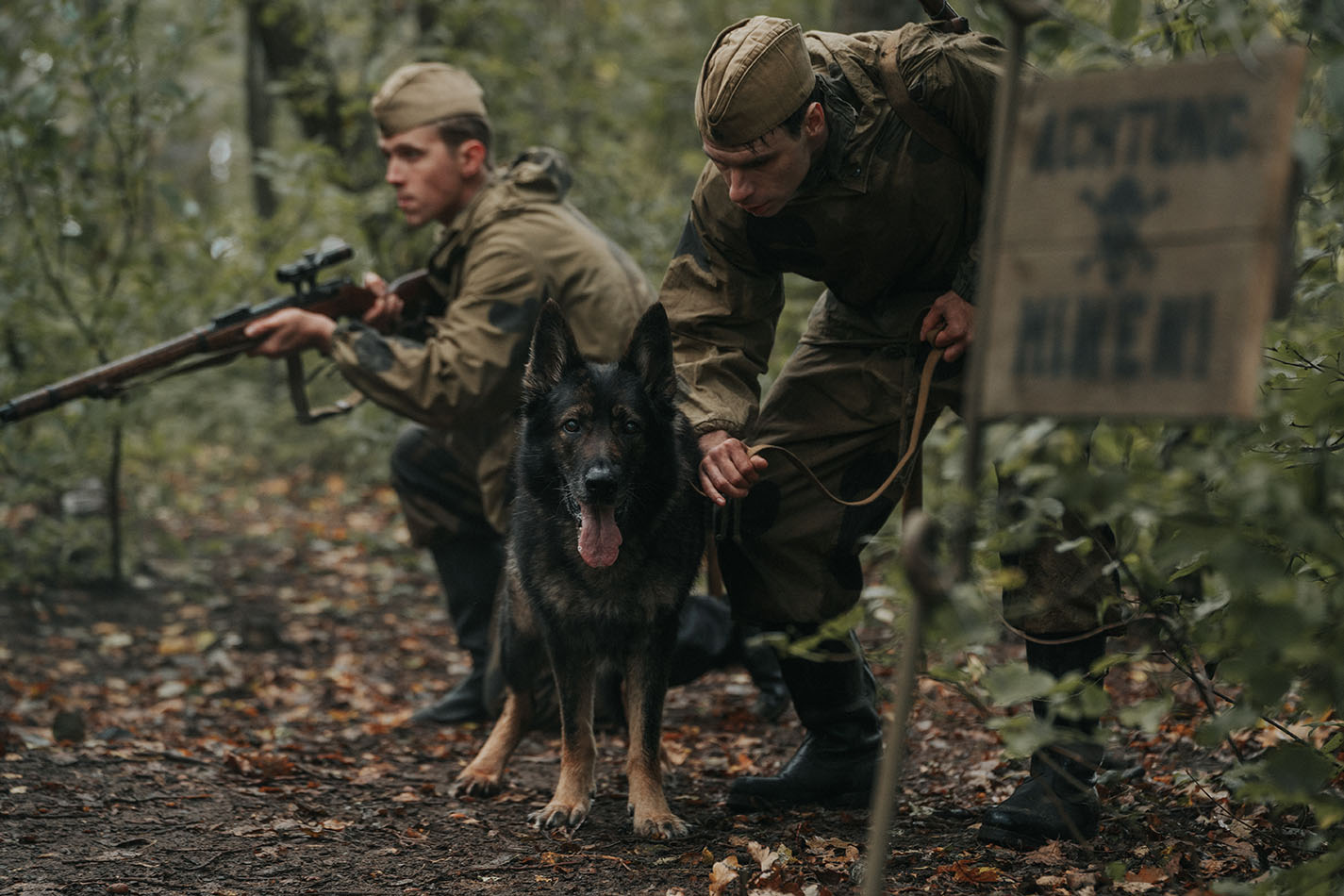 Начались съемки 2-го сезона сериала «Солдат по&nbsp;кличке Рекс»